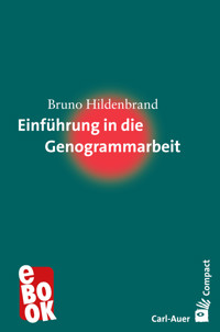 Einführung in die Genogrammarbeit - Bruno Hildenbrand - E-Book