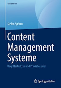 Content Management Systeme - Stefan Spörrer - E-Book