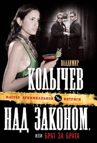 Над законом, или Брат за брата - Владимир Колычев - E-Book