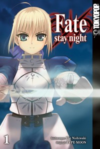 Fate/stay night - Einzelband 01 - Dat NISHIWAKI - E-Book