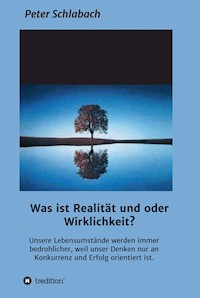 Was ist Realität und/oder Wirklichkeit? - Peter Schlabach - E-Book