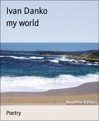 my world - Ivan Danko - kostenlos E-Book