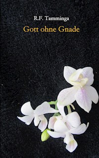 Gott ohne Gnade - R.F. Tamminga - E-Book