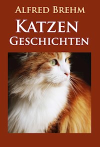 Katzengeschichten - Alfred Brehm - E-Book