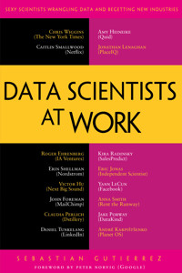 Data Scientists at Work - Sebastian Gutierrez - E-Book