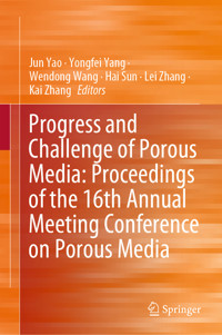 Progress and Challenge of Porous Media: Proceedings of the 16th Annual Meeting Conference on Porous Media -  - E-Book
