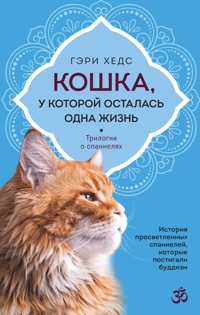 Кошка, у которой осталась одна жизнь - Гэри Хедс - E-Book