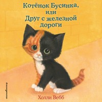 Котенок Бусинка, или Друг с железной дороги - Холли Вебб - Hörbuch
