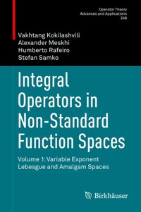 Integral Operators in Non-Standard Function Spaces - Vakhtang Kokilashvili - E-Book