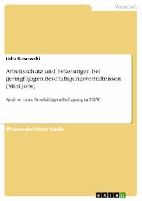 Arbeitsschutz und Belastungen bei geringfügigen Beschäftigungsverhältnissen (Mini-Jobs) - Udo Rosowski - E-Book