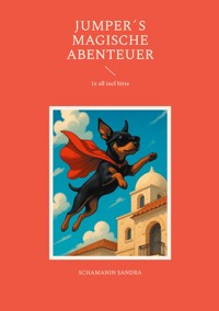 JUMPER´s magische Abenteuer - Schamanin Sandra - E-Book