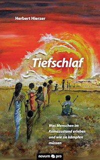 Tiefschlaf - Herbert Hierzer - E-Book