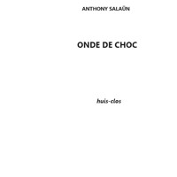 Onde de choc - Anthony Salaün - E-Book