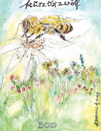 Hilfe kurz vor Zwölf - Hannes Haag - E-Book