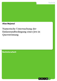 Numerische Untersuchung der Einlassrandbedingung eines Jets in Querströmung - Alaa Bejaoui - E-Book