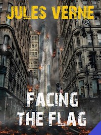 Facing the Flag - Bauer Books - E-Book