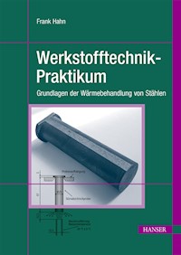 Werkstofftechnik-Praktikum - Frank Hahn - E-Book