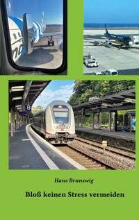 Bloß keinen Stress vermeiden - Hans Brunswig - E-Book
