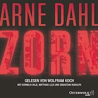 Zorn (Opcop-Gruppe 2) - Arne Dahl - Hörbuch