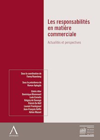 Les responsabilités en matière commerciale - Fanny Rozenberg - E-Book