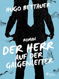 Der Herr auf der Galgenleiter - Hugo Bettauer - E-Book