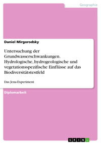 Untersuchung der Grundwasserschwankungen. Hydrologische, hydrogeologische und vegetationsspezifische Einflüsse auf das Biodiversitätstestfeld - Daniel Mirgorodsky - E-Book