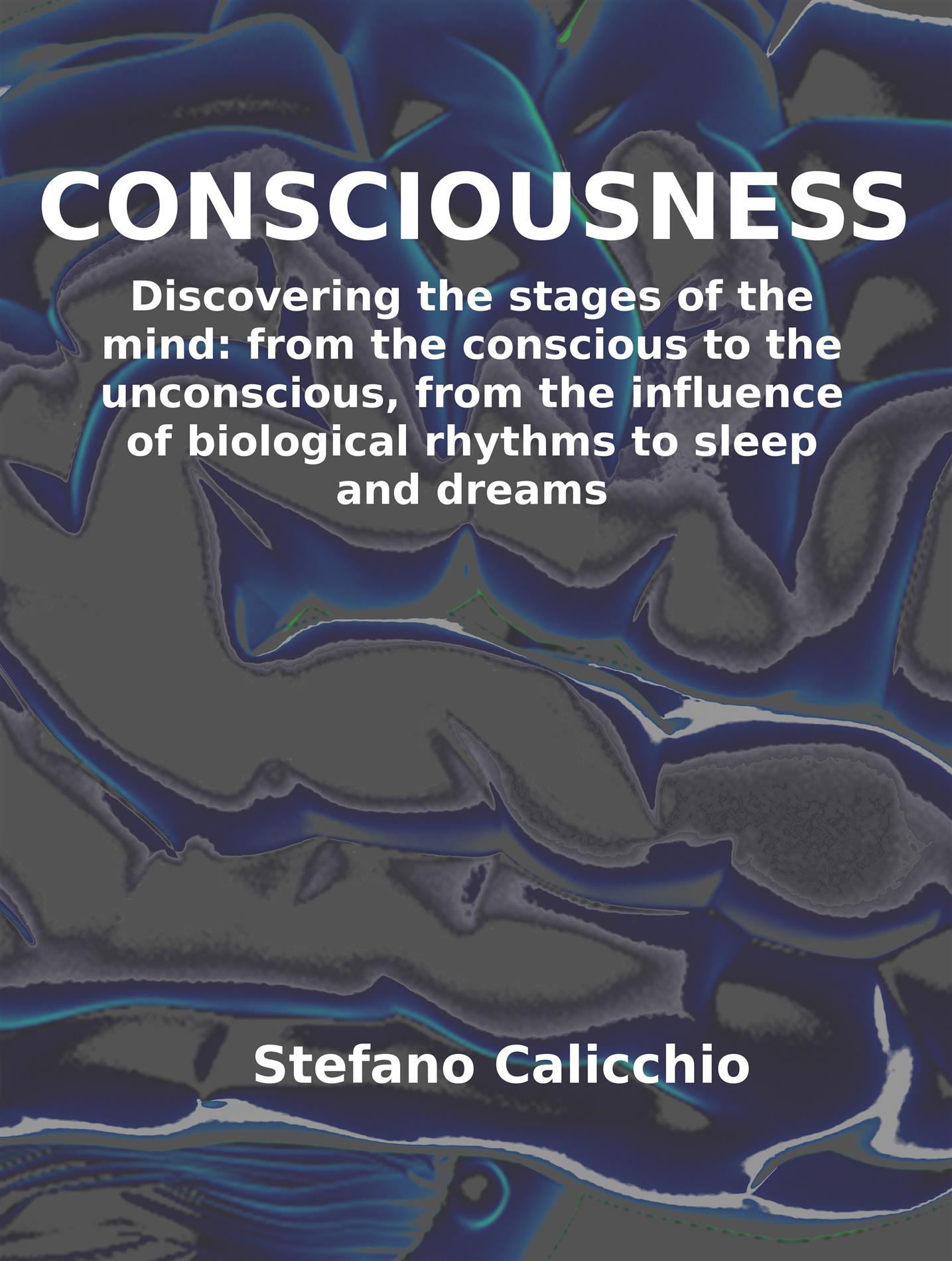 Consciousness - Stefano Calicchio - E-Book