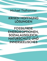 Krisen Hoffnung Lösungen - Michael Thalhammer - E-Book