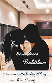Ein besonderes Praktikum - Uwe Goeritz - E-Book