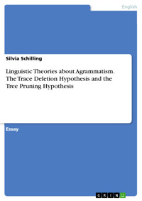 Linguistic Theories about Agrammatism. The Trace Deletion Hypothesis and the Tree Pruning Hypothesis - Silvia Schilling - E-Book