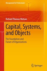 Capital, Systems, and Objects - Richard Thomas Watson - E-Book