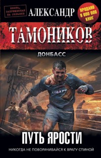Путь ярости - Тамоников Александр - E-Book