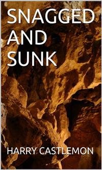 Snagged And Sunk - Harry Castlemon - E-Book