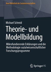 Theorie- und Modellbildung - Michael Schmid - E-Book