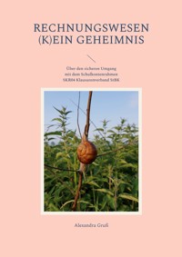 Rechnungswesen (k)ein Geheimnis - Alexandra Gruß - E-Book