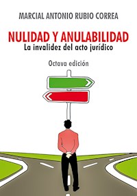 Nulidad y anulabilidad - Marcial Rubio - E-Book