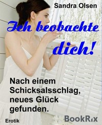 Ich beobachte dich - Sandra Olsen - E-Book