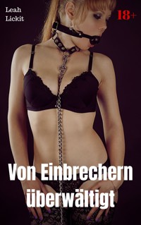 Von Einbrechern überwältigt - Leah Lickit - E-Book