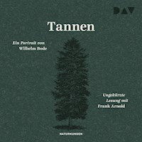 Tannen. Ein Portrait - Wilhelm Bode - Hörbuch