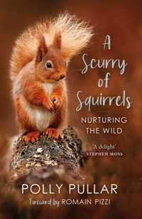 A Scurry of Squirrels - Polly Pullar - E-Book
