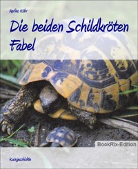 Die beiden Schildkröten - Marlies Kühr - E-Book