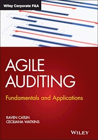 Agile Auditing - Raven Catlin - E-Book