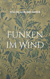 Funken im Wind - Waldemar Brunner - E-Book