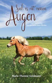 Sieh es mit meinen Augen - Marie-Therese Goldmann - E-Book