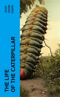 The Life of the Caterpillar - Jean-Henri Fabre - E-Book