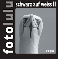 fotolulu schwarz auf weiss II - fotolulu - E-Book