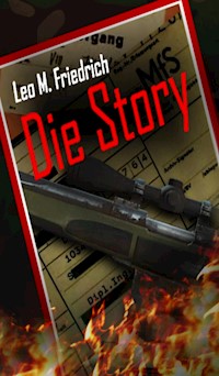 Die Story - Leo M. Friedrich - E-Book