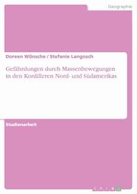 Gefährdungen durch Massenbewegungen in den Kordilleren Nord- und Südamerikas - Doreen Wünsche - E-Book