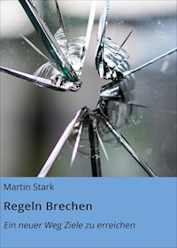 Regeln Brechen - Martin Stark - E-Book