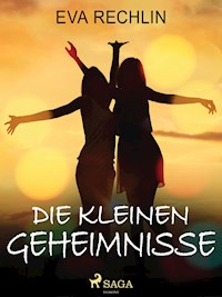 Die kleinen Geheimnisse - Eva Rechlin - E-Book